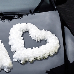 Autoschmuck Motorhaube Blumenherz Weiss