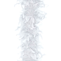 Federboa, weiß, freigestellt Federboa, weiß, freigestellt