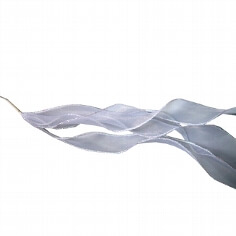 Bänder, 3 St. gebündelt, weiß, 50 cm Bänder, 3 St. gebündelt, weiß, 50 cm