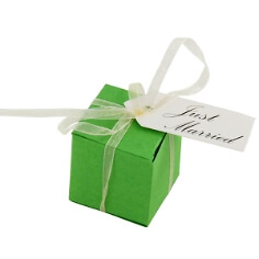 Gastgeschenk mit Seedbombs in Gr&uuml;n