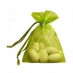 Organzasäckchen apfelgruen