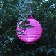 LED Lampion Pink 