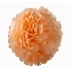 Pompons Fluffy, 3 St., rosa/apricot/creme - Süße Pompoms in verschiedenen Farben
