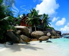 Flitterwochen auf den Seychellen