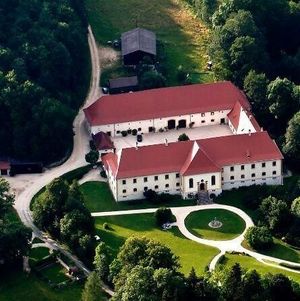 Schloss Ehrenfels, Hayingen-Wimsen